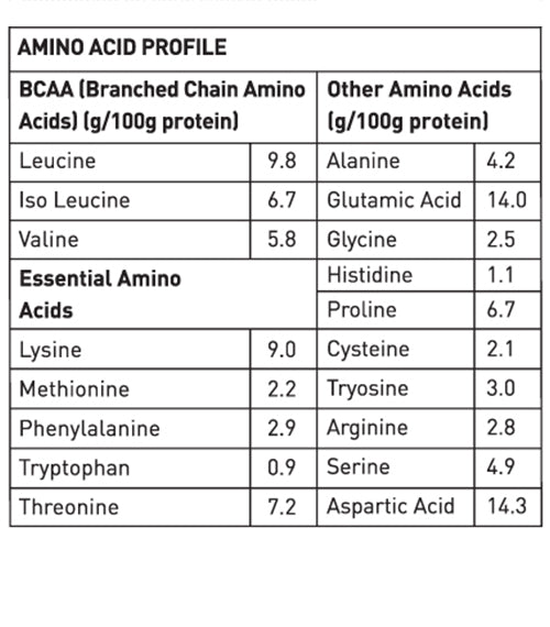 AVVATAR WHEY PROTEIN | 1 KG | 27g Protein | Isolate & Concentrate Blend