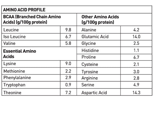 AVVATAR WHEY ISORICH PROTEIN | 29g Protein | Isolate
