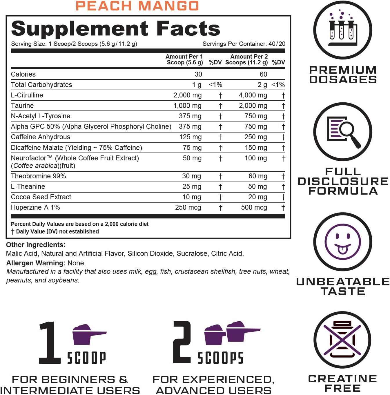 Prevail Pre Workout Powder with Nootropics| Pre Workout for Men and Women | Cutting Edge Energy and Focus Supplement with L Citrulline, Alpha GPC, L Tyrosine, Neurofactor | 40 Servings