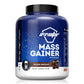 Avvatar Mass Gainer | Belgian Chocolate Flavour | 21 Vitamins & Minerals