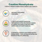 Scitron Nitro Series Creatine Monohydrate |3g Creatine| 62 Servings| No Added Sugar| Increase Endurance | 250g