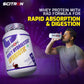 Scitron Whey Hydrolyzed Synbiotic 100% Hydrolyzed Protein Powder | 1Kg  | Chocolate Flavor |24g Protein Per Serving| With 1 Billion Prebiotic & Probiotic Strains For Gut Health| Digestive Enzymes for Effective Digestion