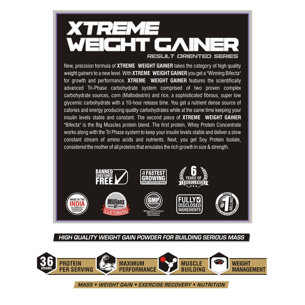 Bigmuscles Nutrition Xtreme Weight Gainer