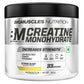 Bigmuscles Nutrition Creatine Monohydrate| Micronised Creatine Powder For Enhanced Muscle Strength With Rapid Absorption | Benchmark Series