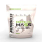 Bigmuscles Nutrition Critical Mass Gainer