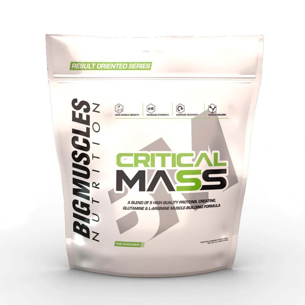 Bigmuscles Nutrition Critical Mass Gainer