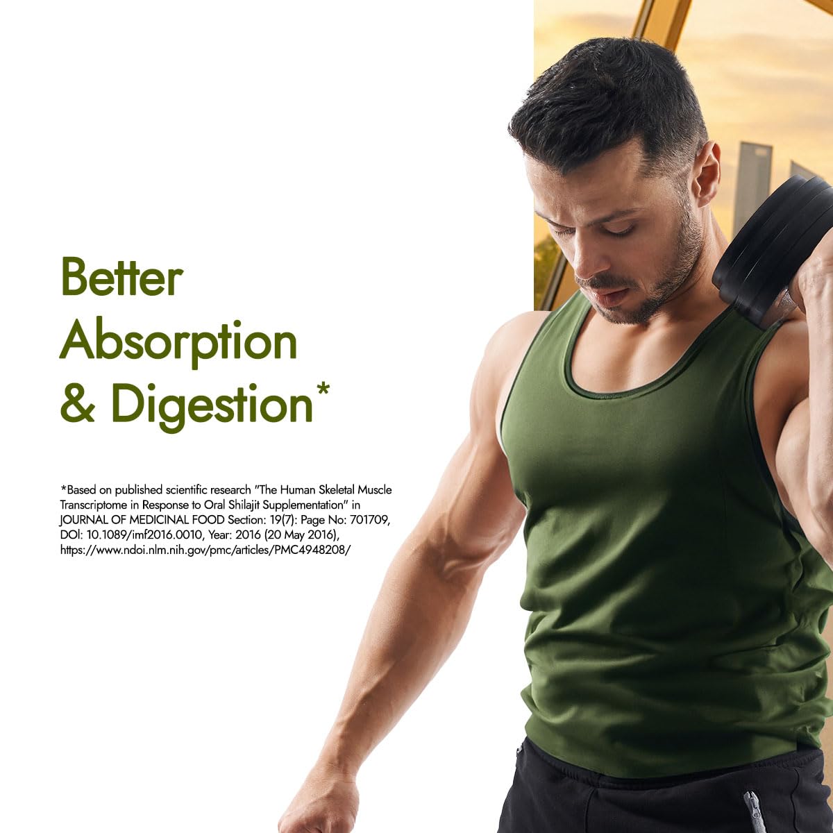 Kapiva Testofuel Shilajit Whey Protein | 25g Protein | 250mg Shilajit | 5.5g BCAA | Faster Absorption | Digezyme blend | WADA Compliant