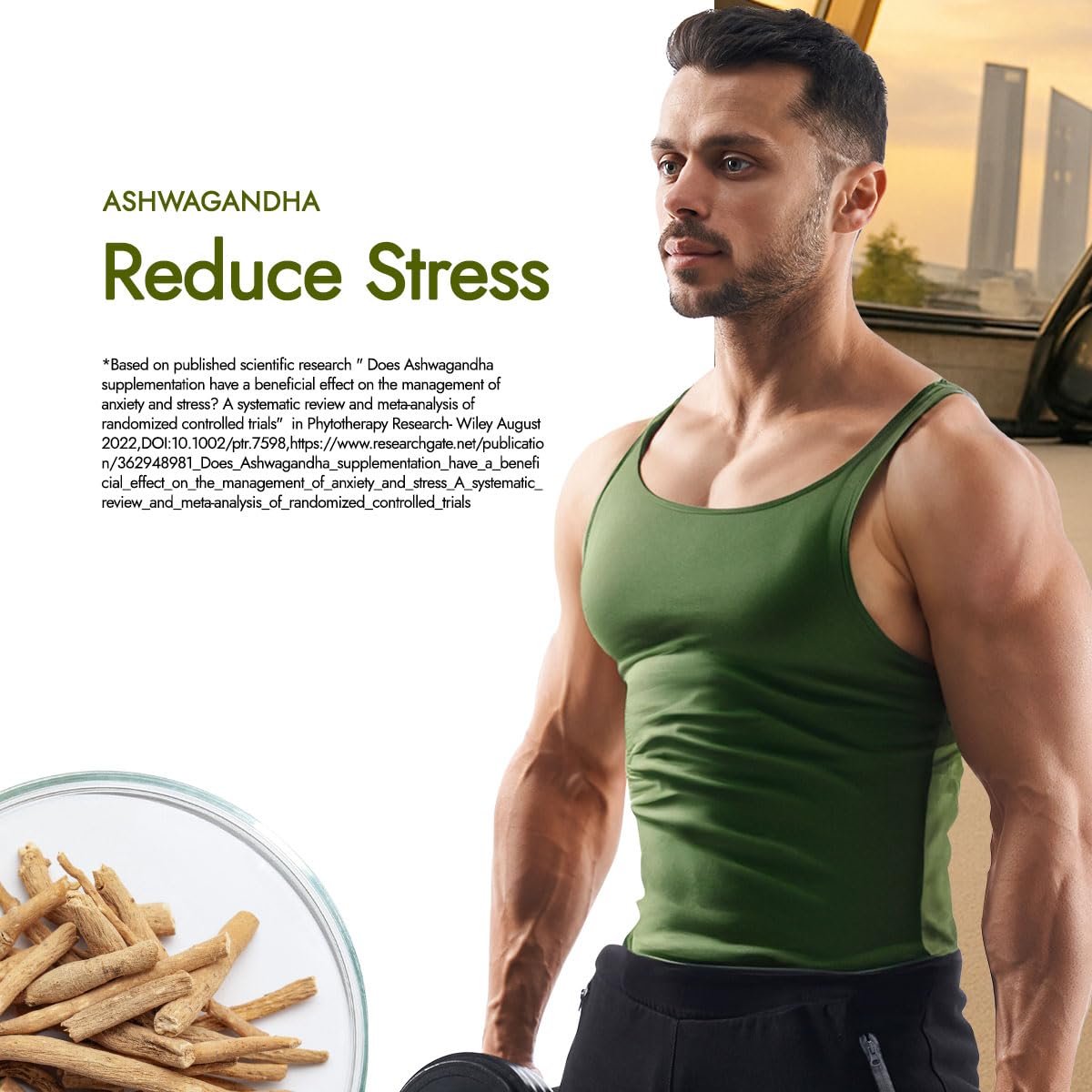 Kapiva Testofuel Shilajit Whey Protein | 25g Protein | 250mg Shilajit | 5.5g BCAA | Faster Absorption | Digezyme blend | WADA Compliant