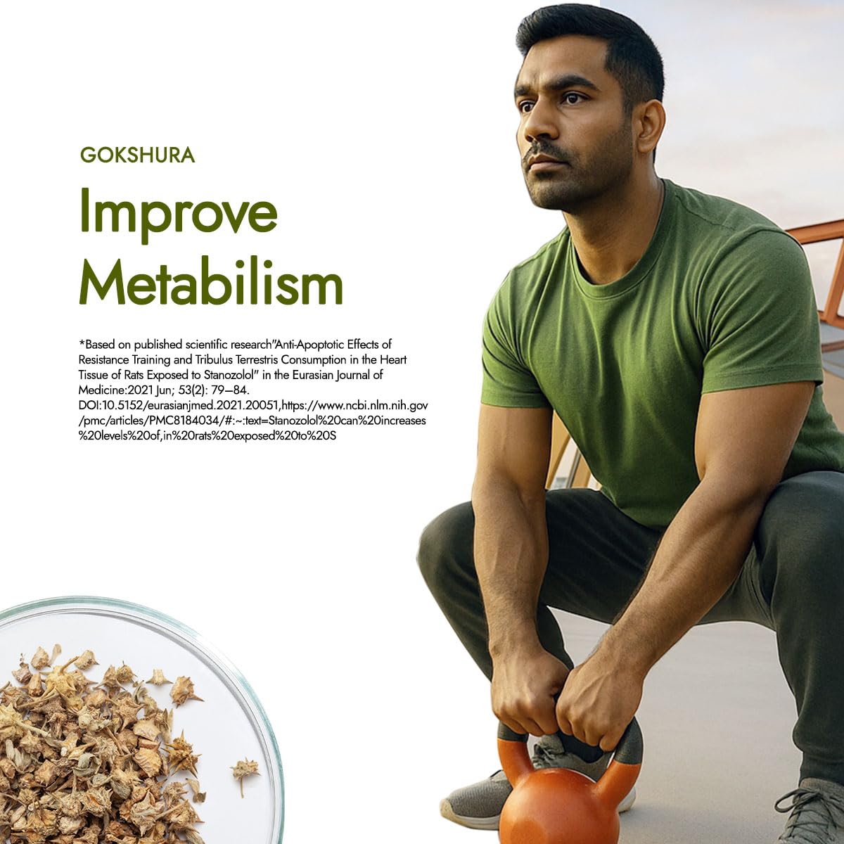 Kapiva Testofuel Shilajit Whey Protein | 25g Protein | 250mg Shilajit | 5.5g BCAA | Faster Absorption | Digezyme blend | WADA Compliant