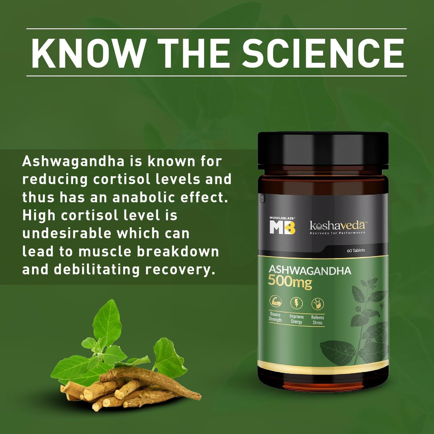 MuscleBlaze Koshaveda Ashwagandha 500mg | Ayurveda for Performance | High Strength Potent Formula | Boost Muscle Mass & Strength| Enhance Immunity