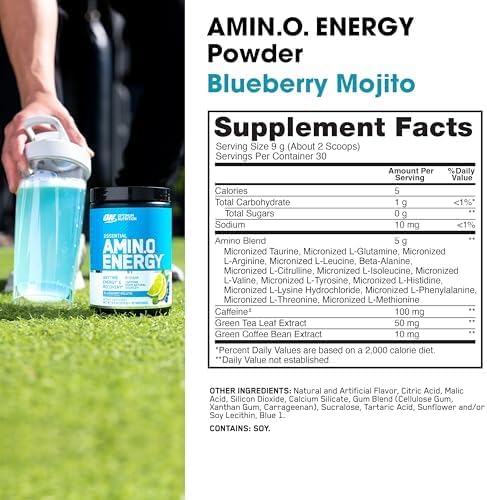Optimum Nutrition (ON) Amino Energy - Pre Workout with Green Tea Extract | BCAA | Amino Acids | Energy Powder | 30 Servings