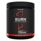 Rule1 Proteins Burn | Powder