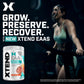 Scivation Xtend EAA Essential Amino Acids |Zero Sugar| Muscle Recovery and Growth