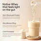 Wellbeing Nutrition Clean Whey Protein Isolate | 26g Protein| Clinically Proven Velositol for 2x Muscle Protein Synthesis| 4B CFU Probiotics| Digestive Enzymes| Bloat Free|Easy to Digest